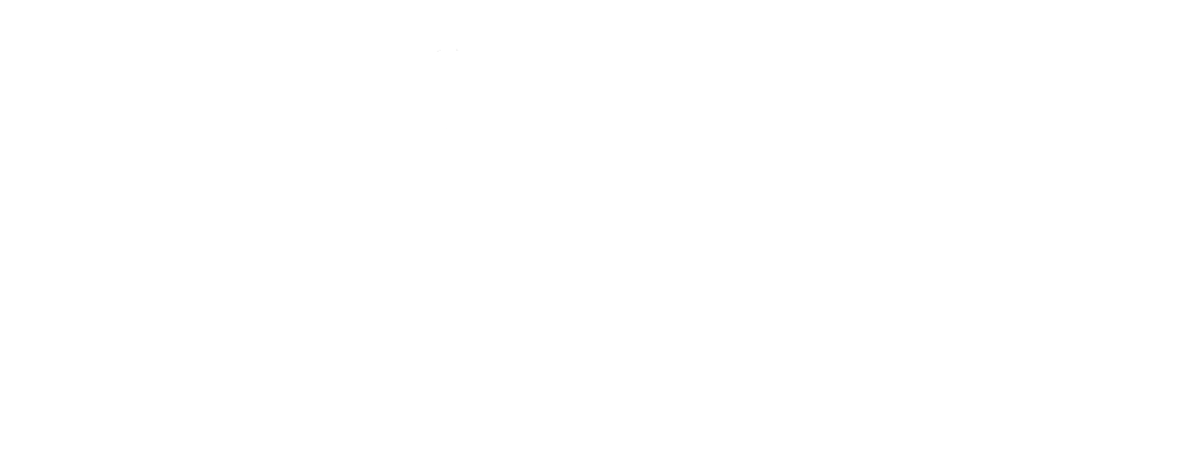 Cliente 16